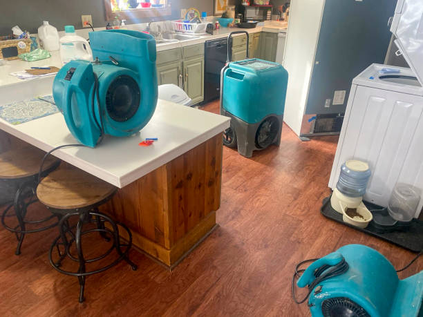 Best Water damage restoration services  in New Cumberland, WV