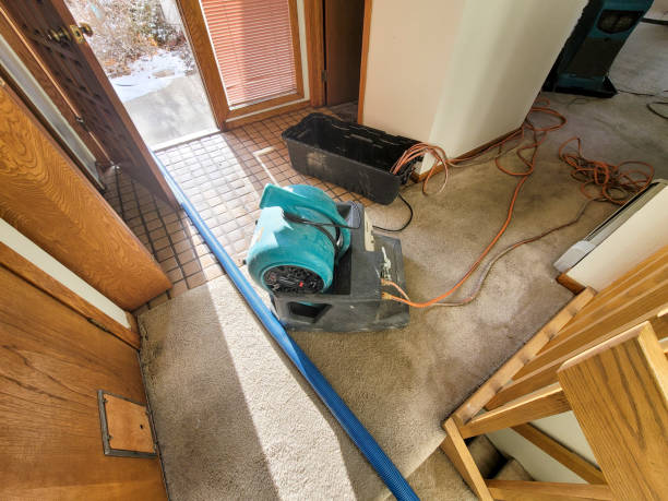 Best Water damage cleanup near me  in New Cumberland, WV