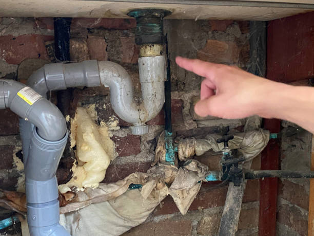 Best Water damage restoration near me  in New Cumberland, WV