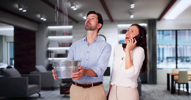 Best Local water damage restoration  in New Cumberland, WV